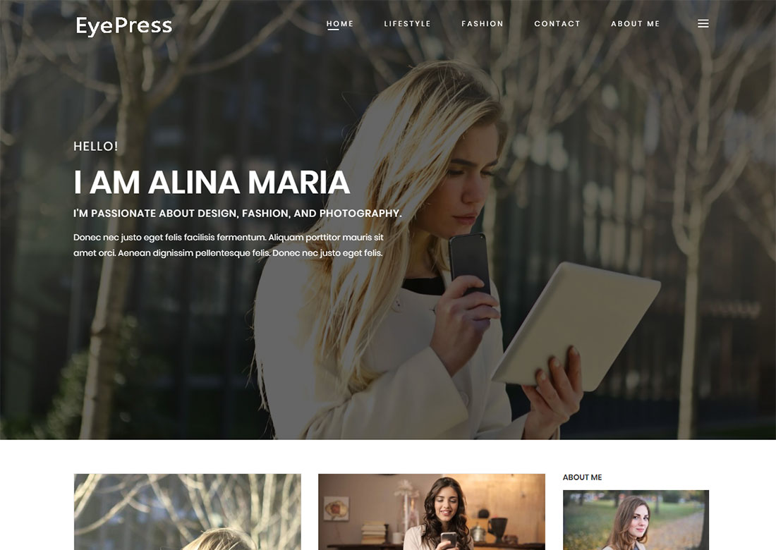 free personal WordPress themes