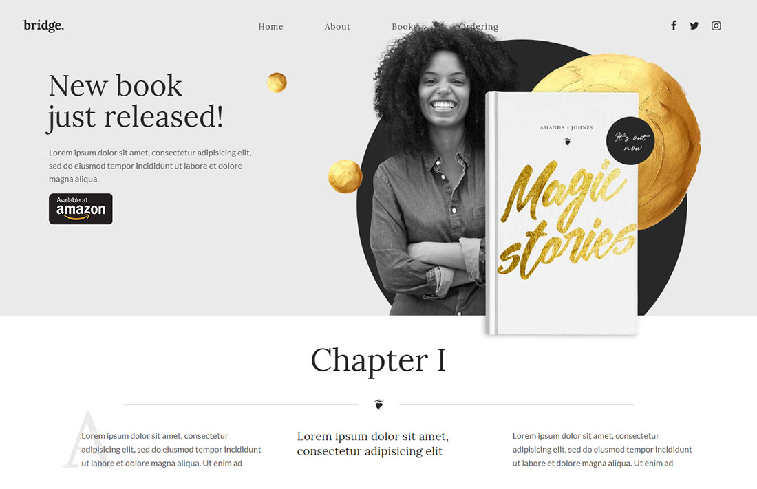 Multipurpose wordpress theme for book writers 