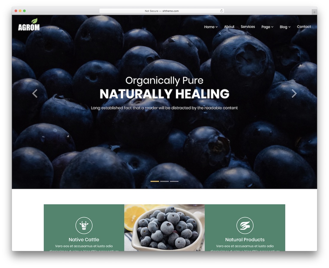 agrom green eco friendly wordpress theme