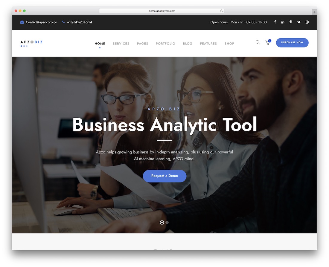 apzo it company wordpress theme