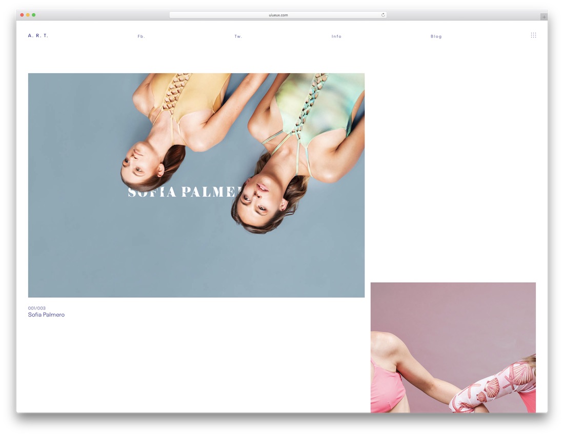 art photography wordpress theme