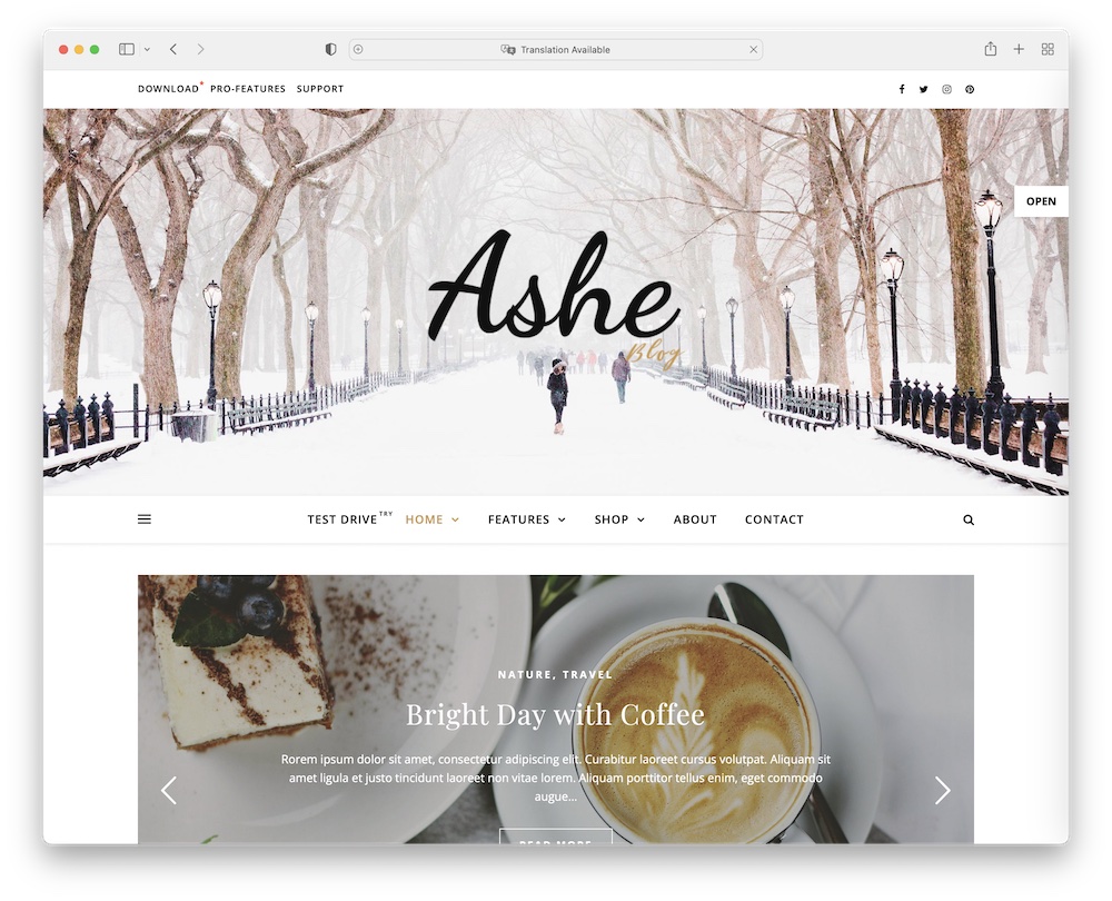 ashe free wordpress theme