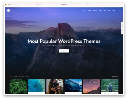 Best WordPress Themes