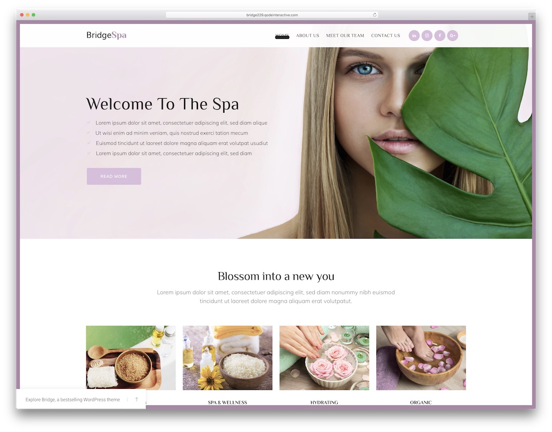 bridge best spa salon wordpress theme