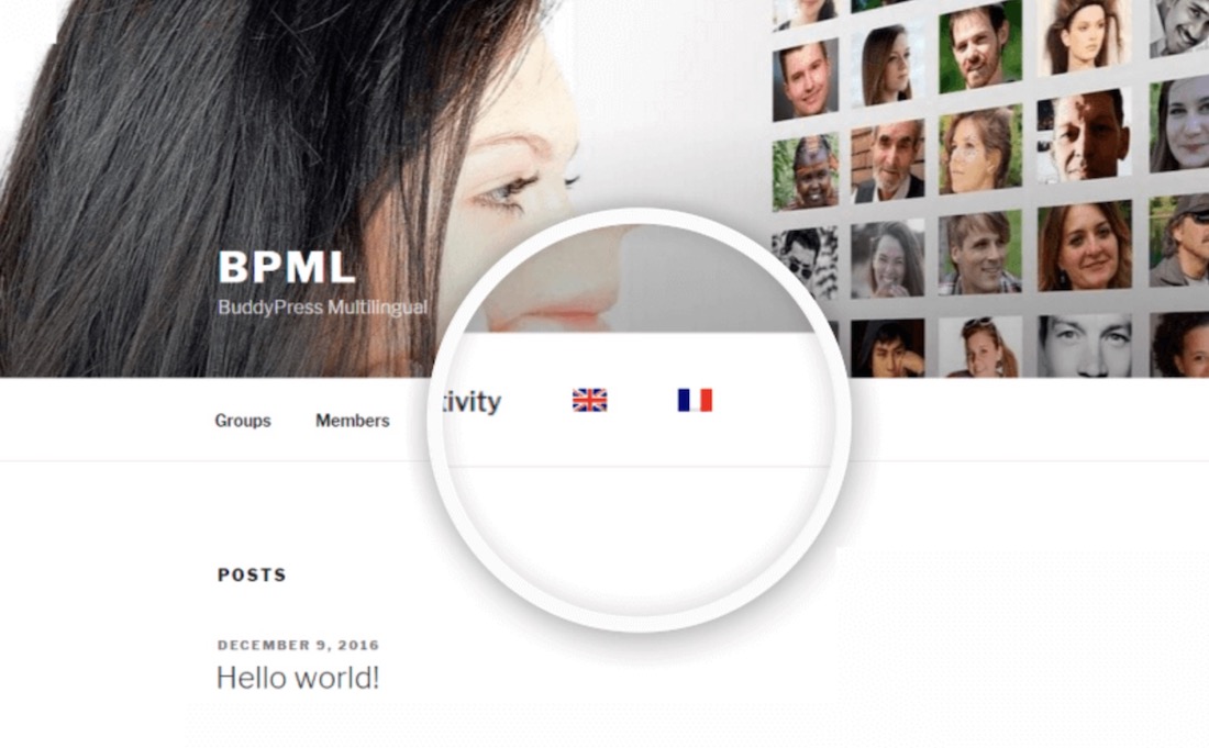 buddypress multilingual wordpress plugin