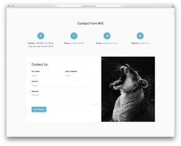 Contact Form 03