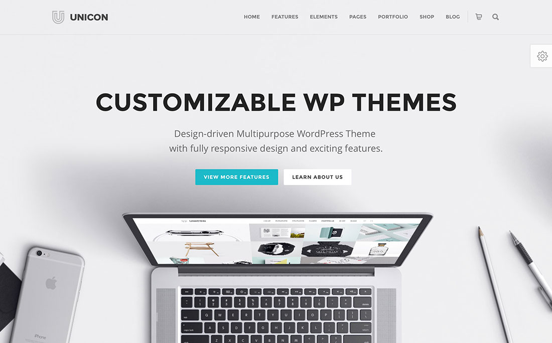 customizable WordPress themes