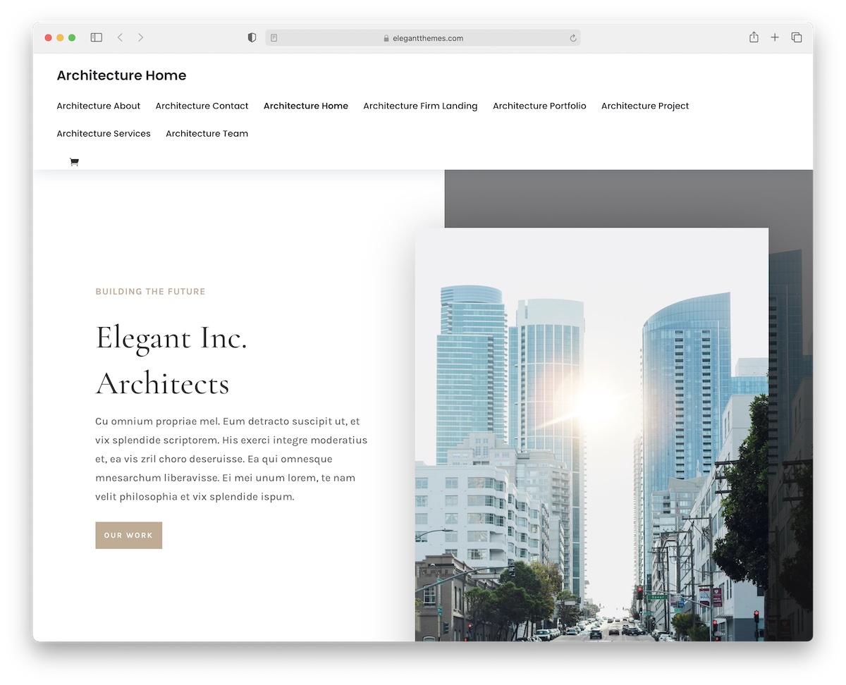 divi wordpress theme for architects