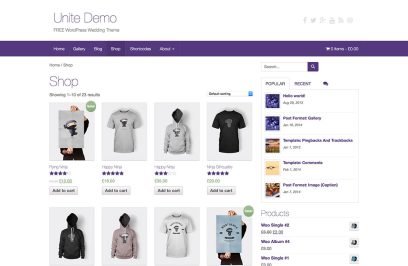 Free ECommerce WordPress Theme