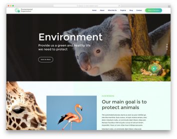 EnvironmentaOrganization Free Template