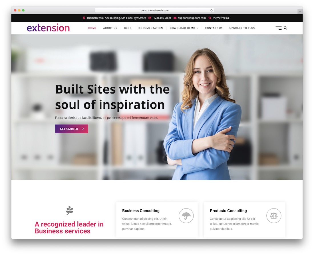 extension free wordpress theme