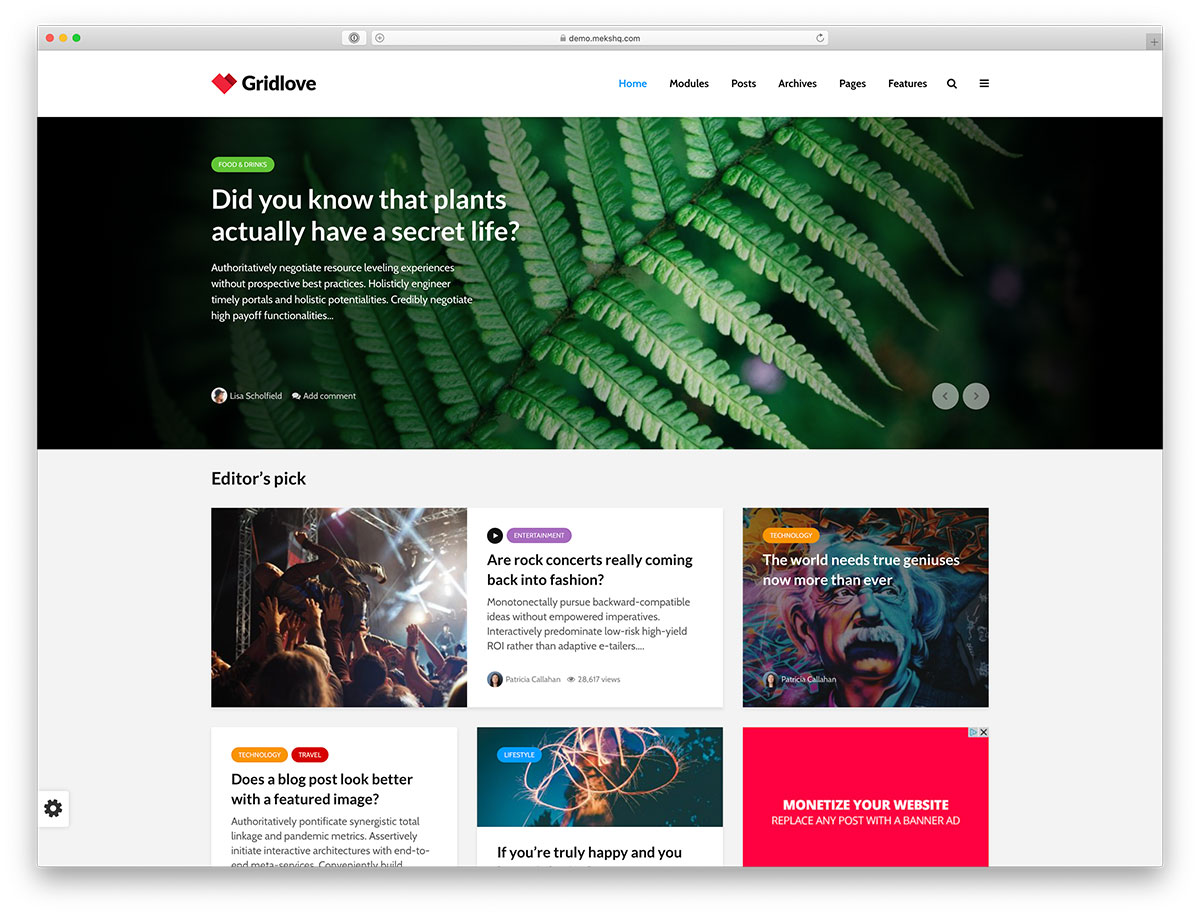 grid WordPress themes