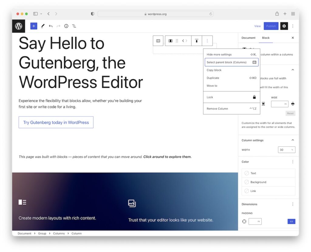 gutenberg wordpress page editor