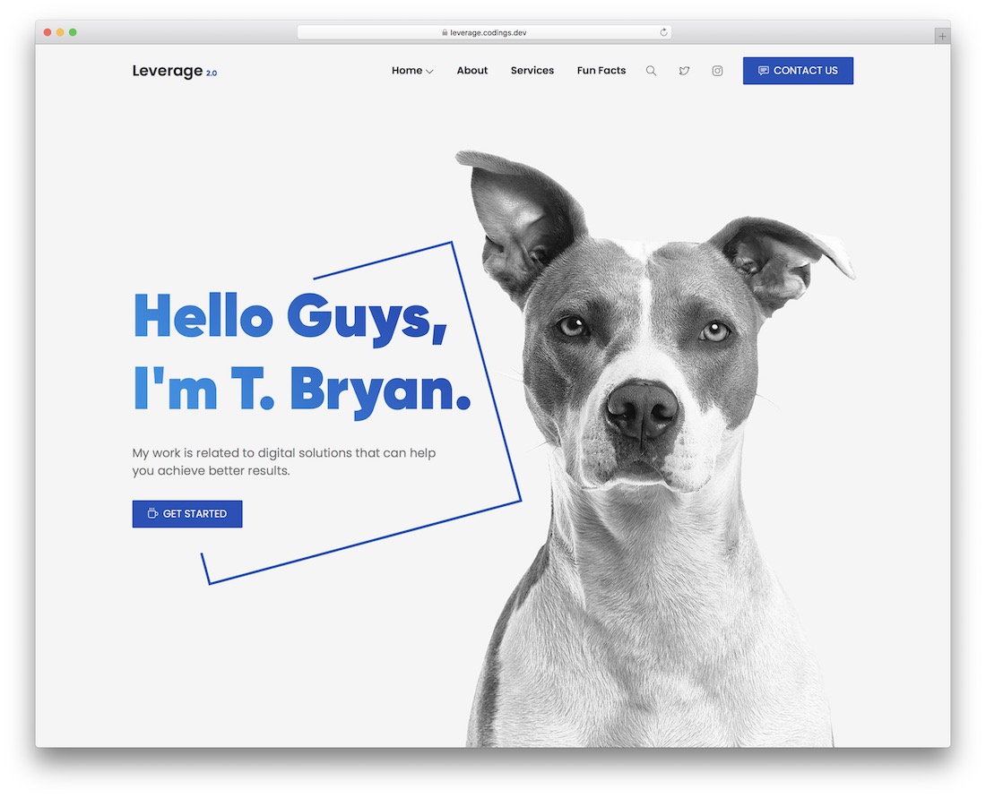 leverage creative wordpress theme