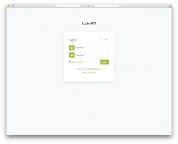 Login Form V13