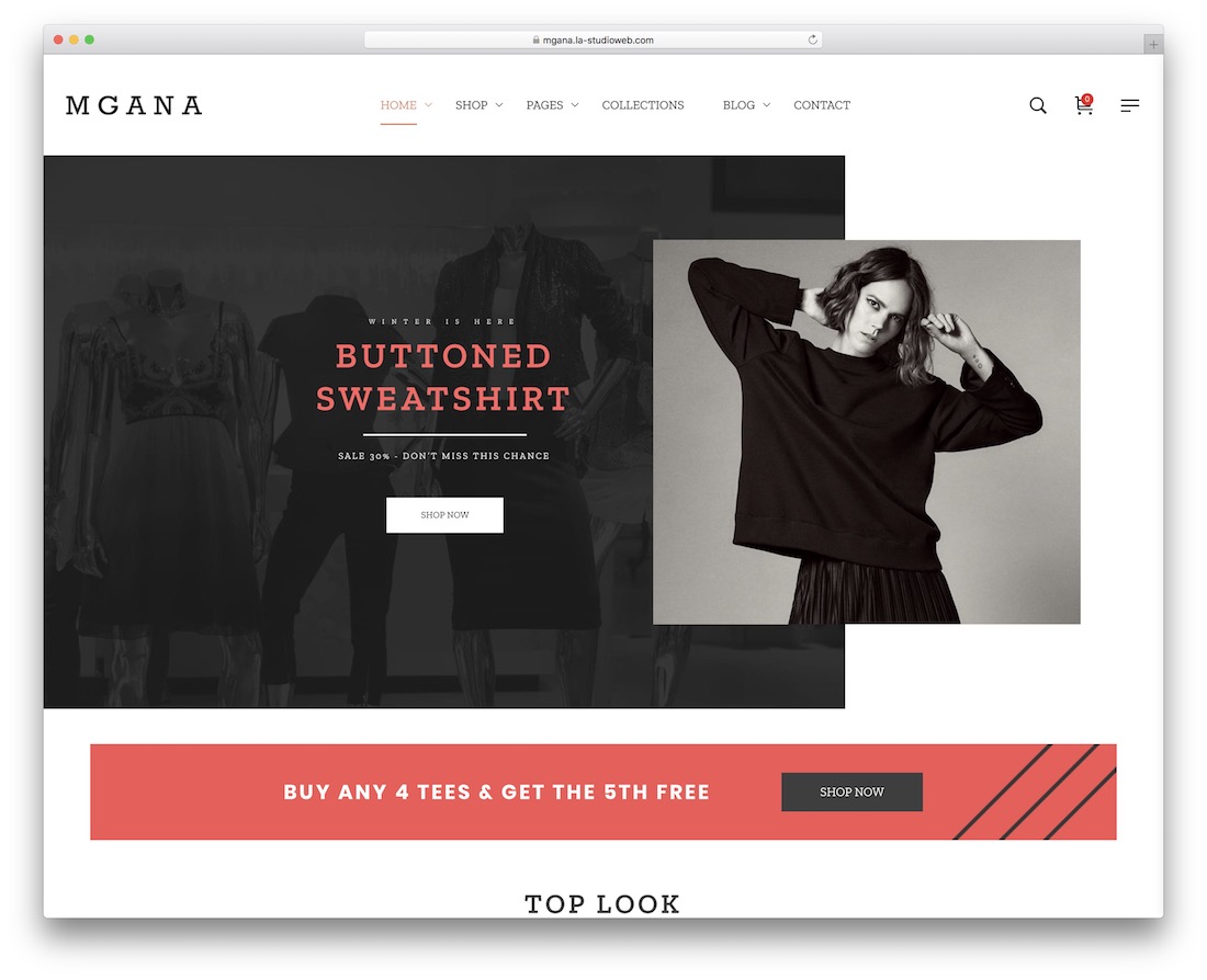 mgana parallax wordpress theme