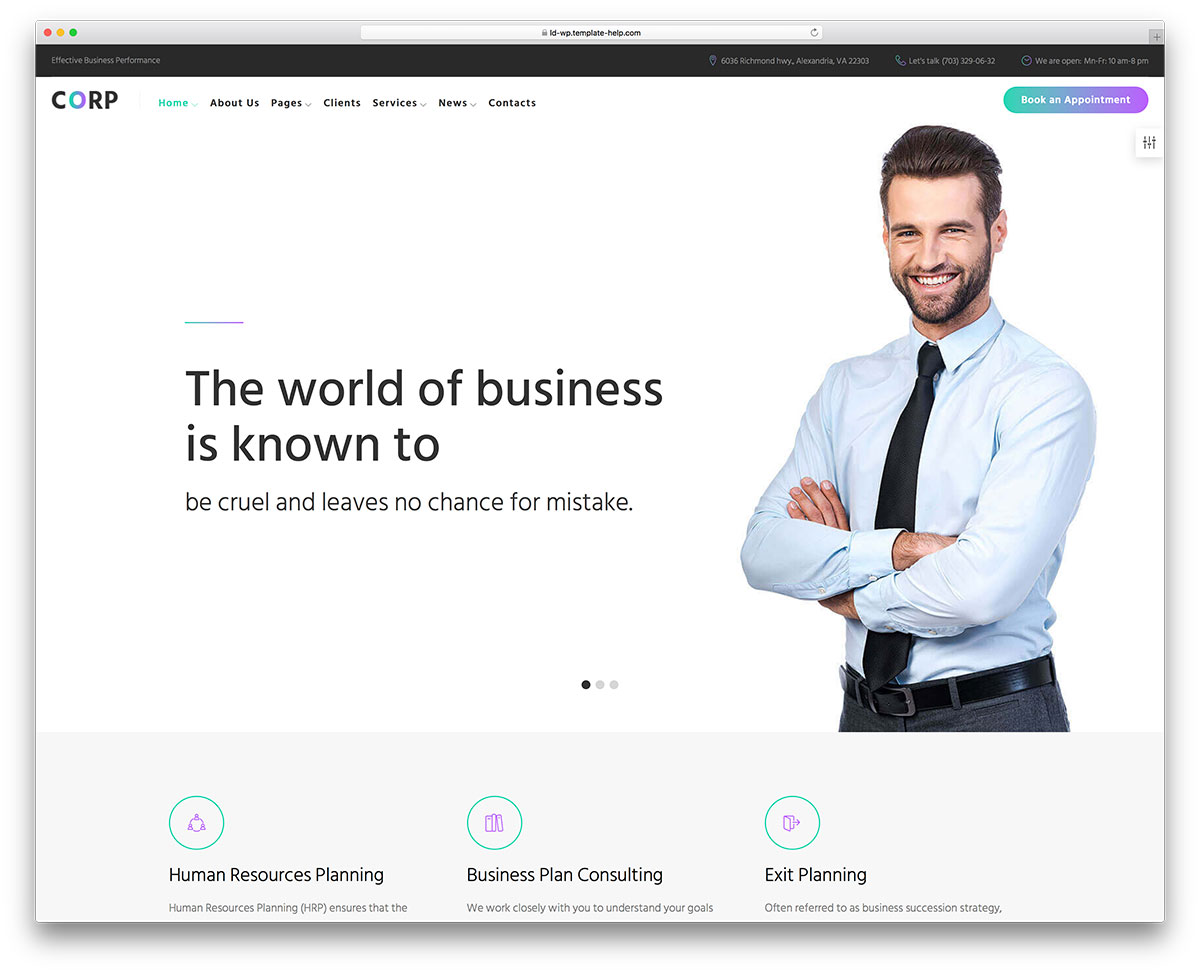 monstroid2 - custom business theme