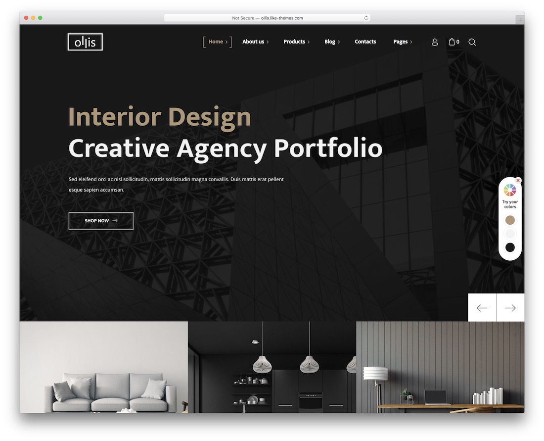 ollis wordpress theme for architects