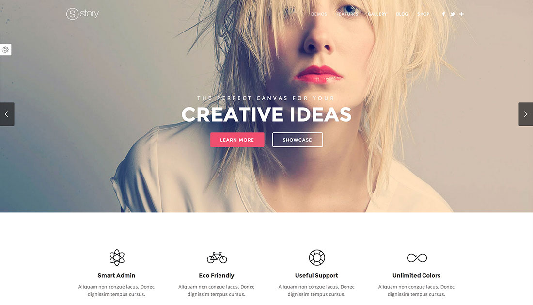 Parallax WordPress Themes