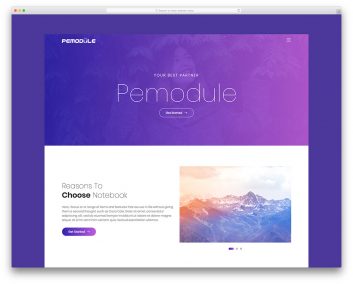 Pemodule