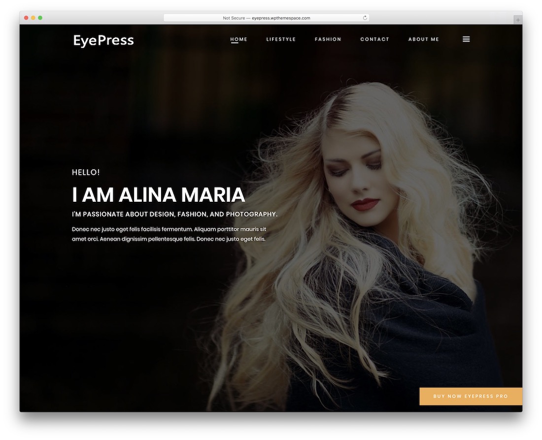 personal eye free wordpress theme