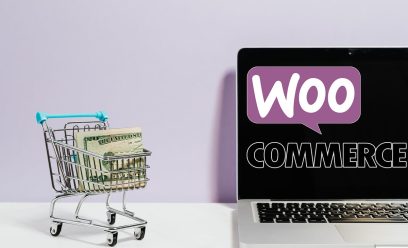 Picking The Right Woocommerce Theme