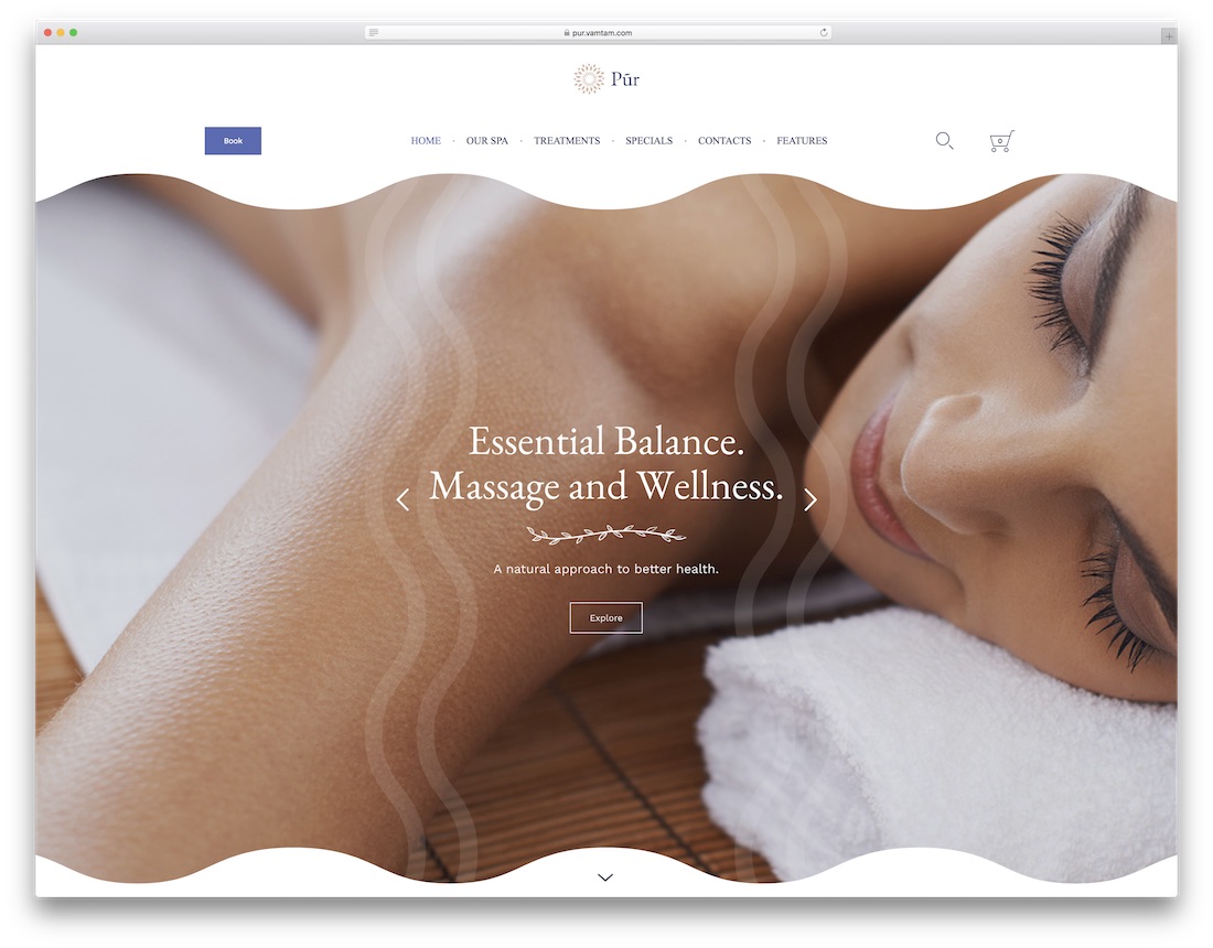 pur spa salon wordpress theme