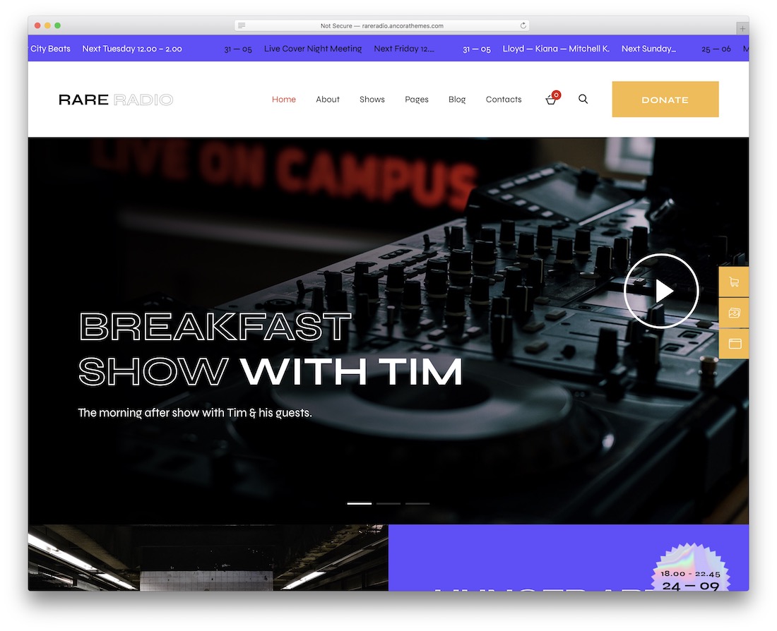 rare radio music wordpress theme