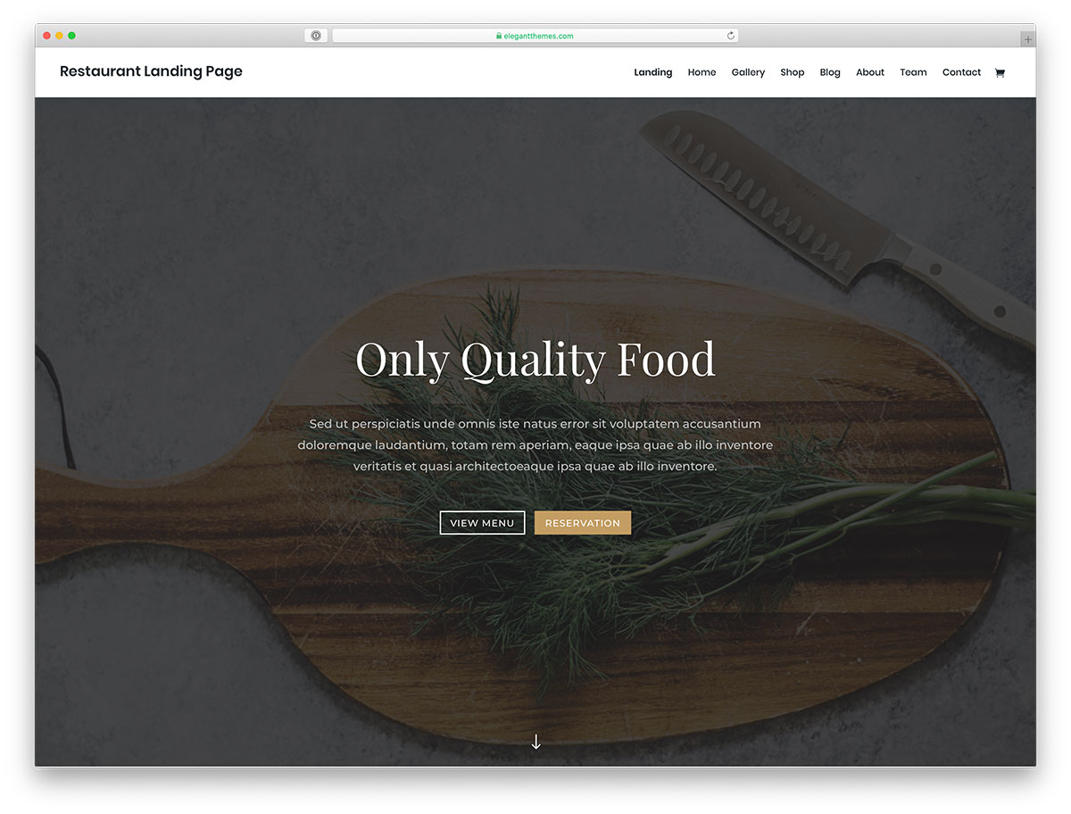 restaurant WordPress theme