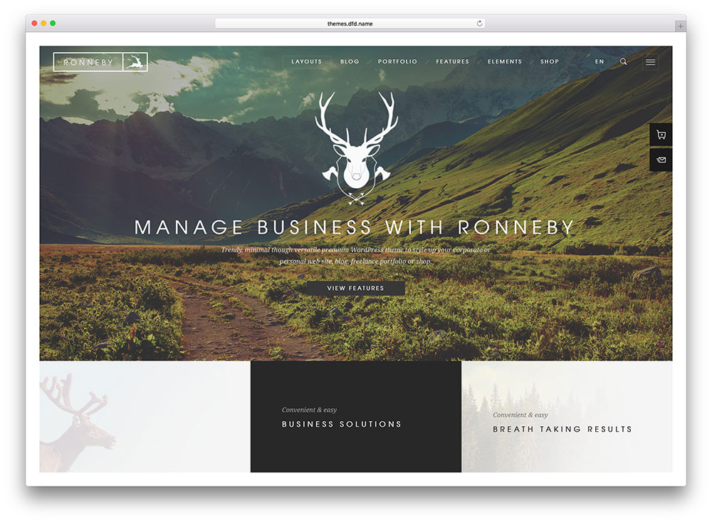 ronneby-multipurpose-wordpress-theme