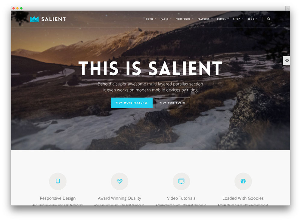 salient flat design wordpress theme