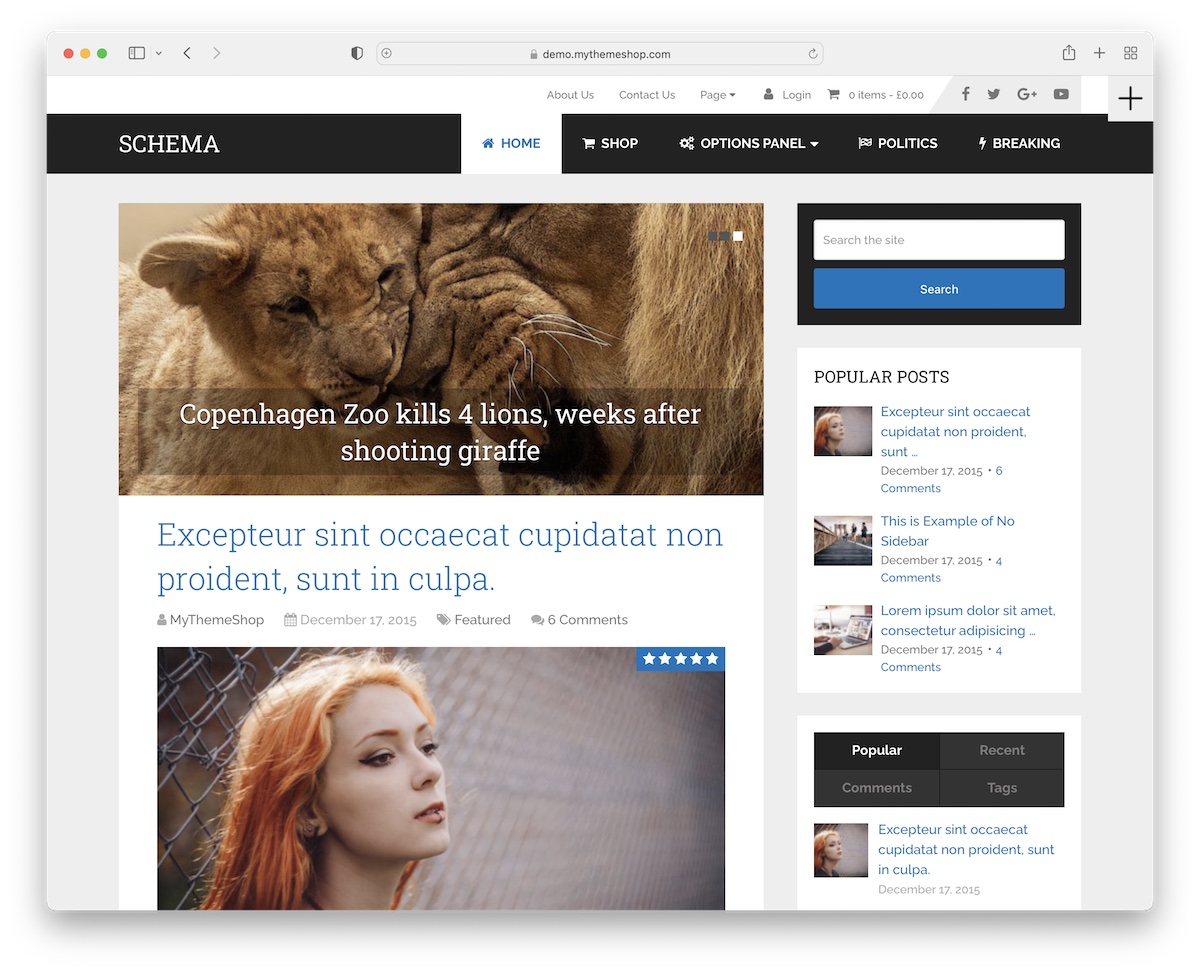 schema fastest wordpress theme