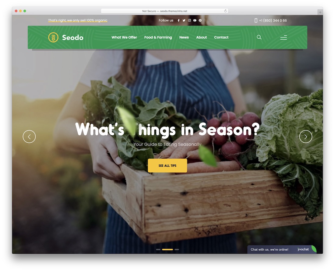 seodo farming wordpress theme