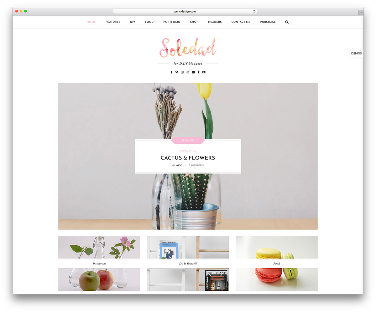 soledad-diy-wordpress-blogging-theme