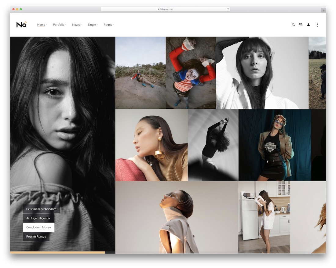 thena photography wordpress theme