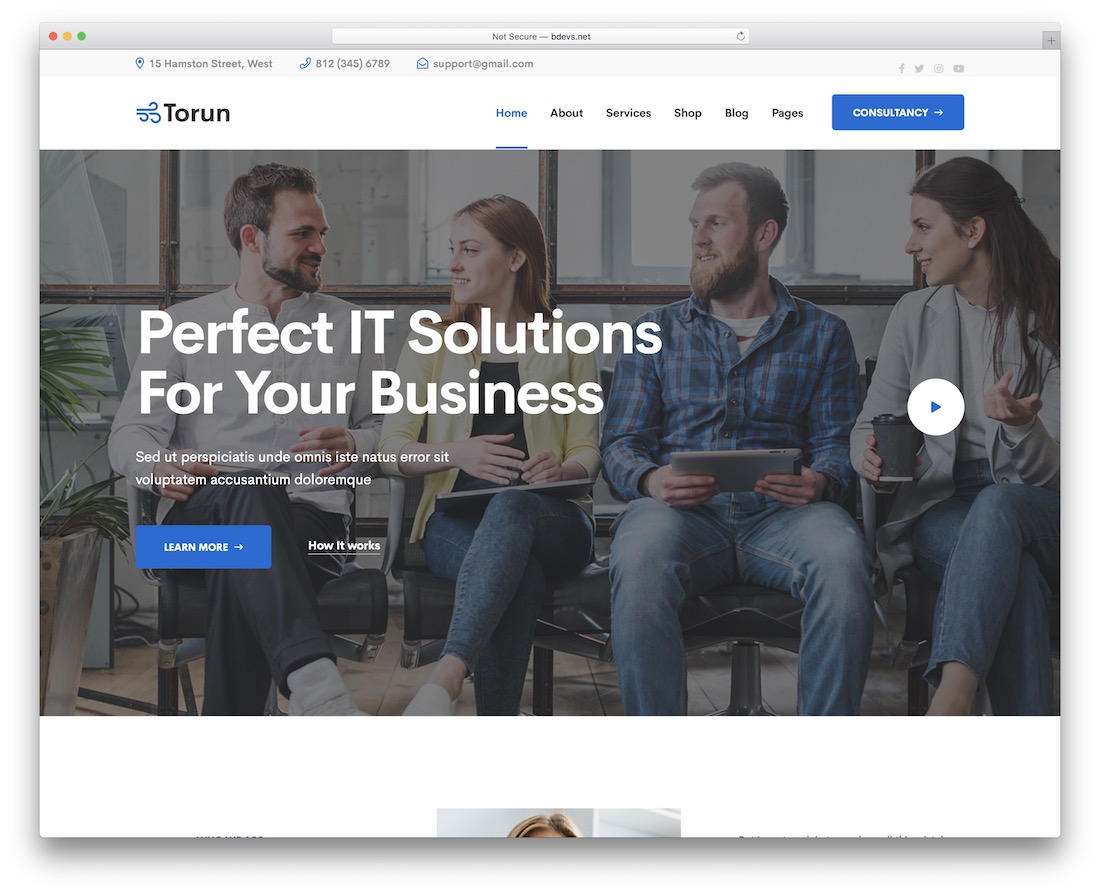 torun it company wordpress theme