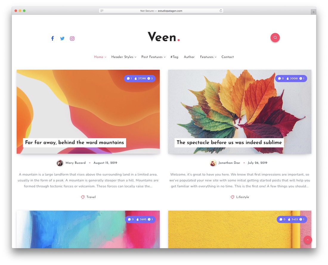 veen wordpress theme for writers