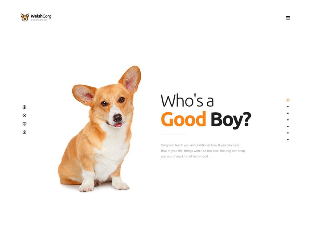 Welsh Corgi | Dog Breeding and Sale WordPress Theme