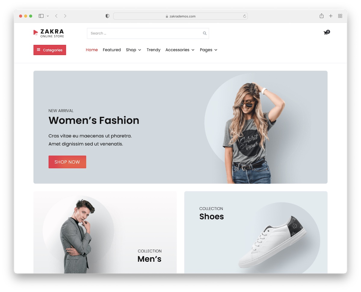 zakra fastest wordpress theme