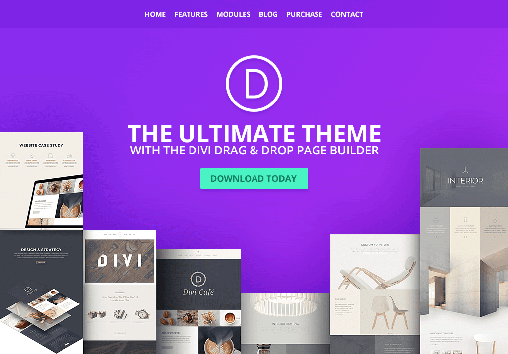 divi popular business theme