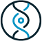 Core Values Icon