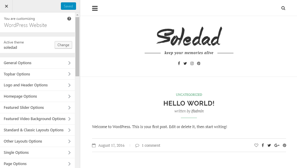 Soledad Theme Review Customizer 01